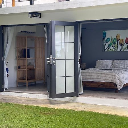 The Serene House Bed & Breakfast Luquillo Kültér fotó