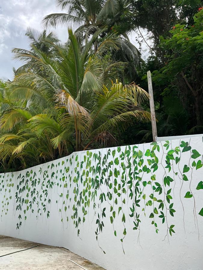 The Serene House Bed & Breakfast Luquillo Kültér fotó