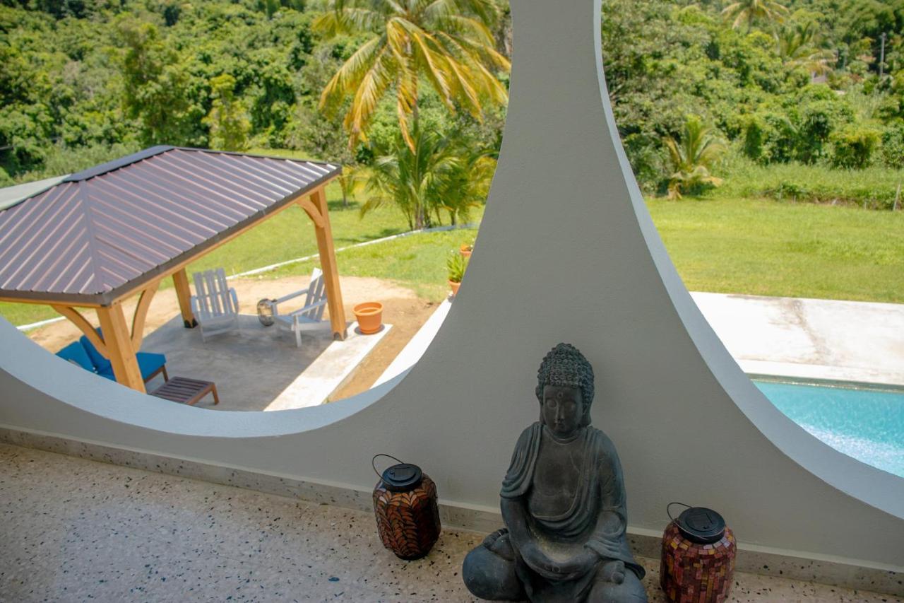 The Serene House Bed & Breakfast Luquillo Kültér fotó