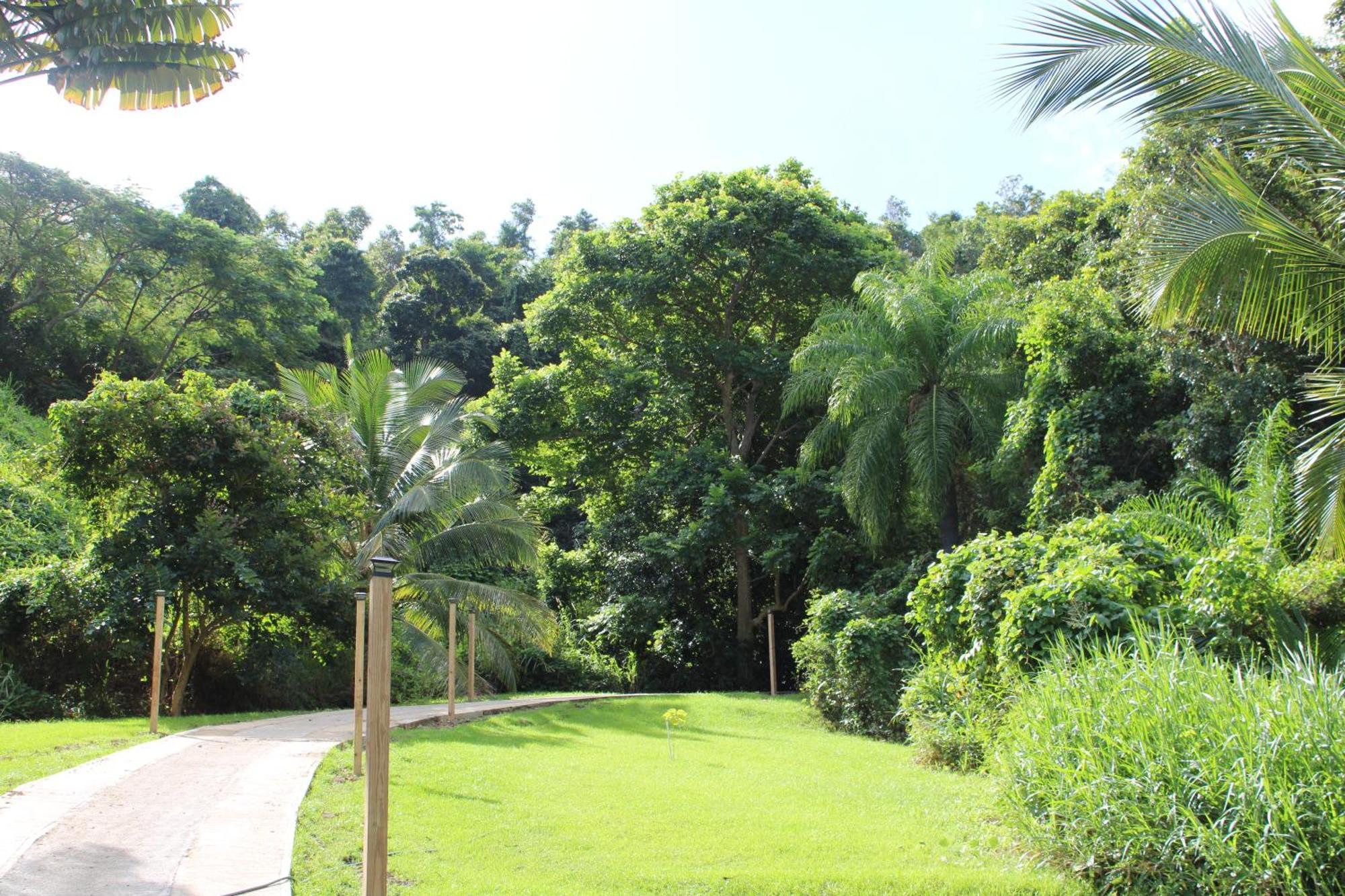 The Serene House Bed & Breakfast Luquillo Kültér fotó