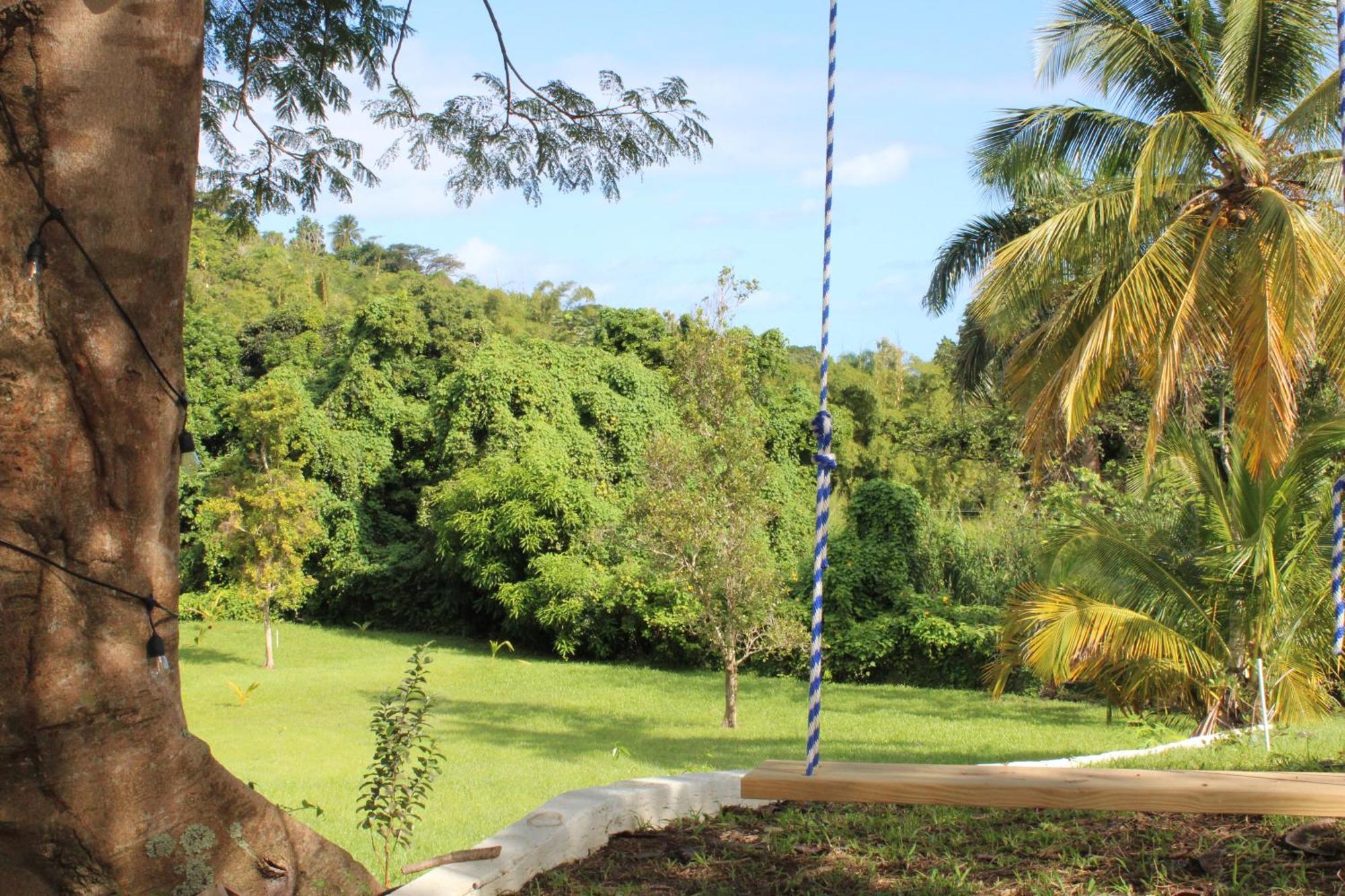 The Serene House Bed & Breakfast Luquillo Kültér fotó