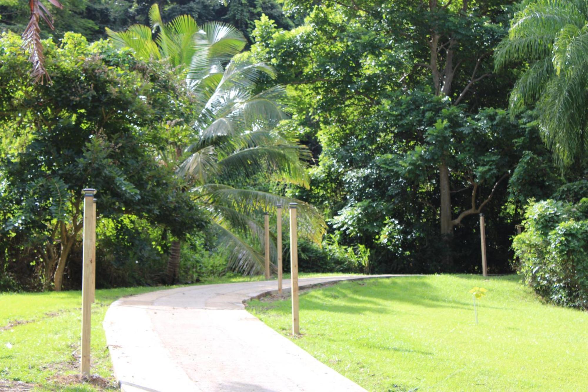 The Serene House Bed & Breakfast Luquillo Kültér fotó