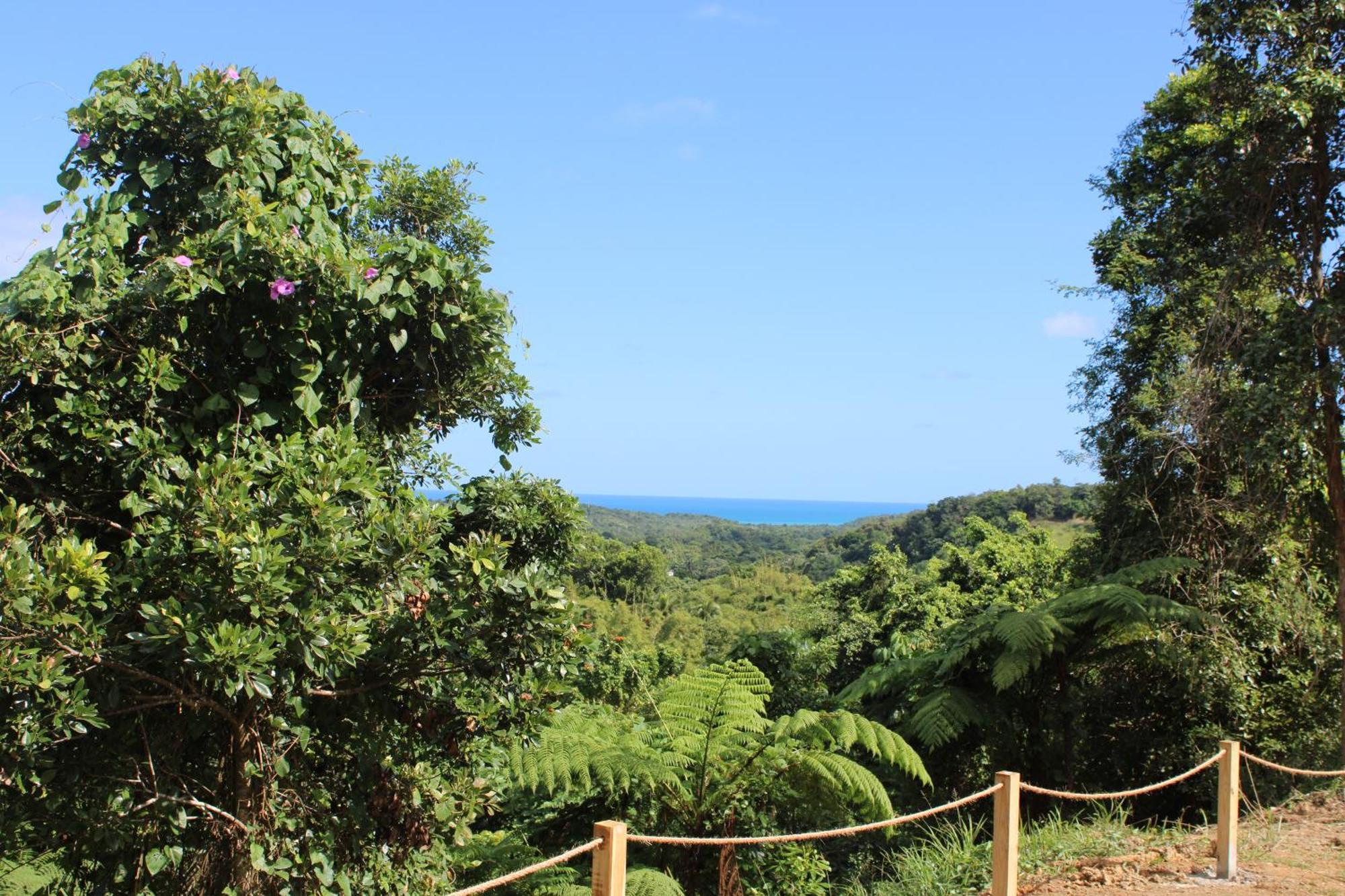 The Serene House Bed & Breakfast Luquillo Kültér fotó