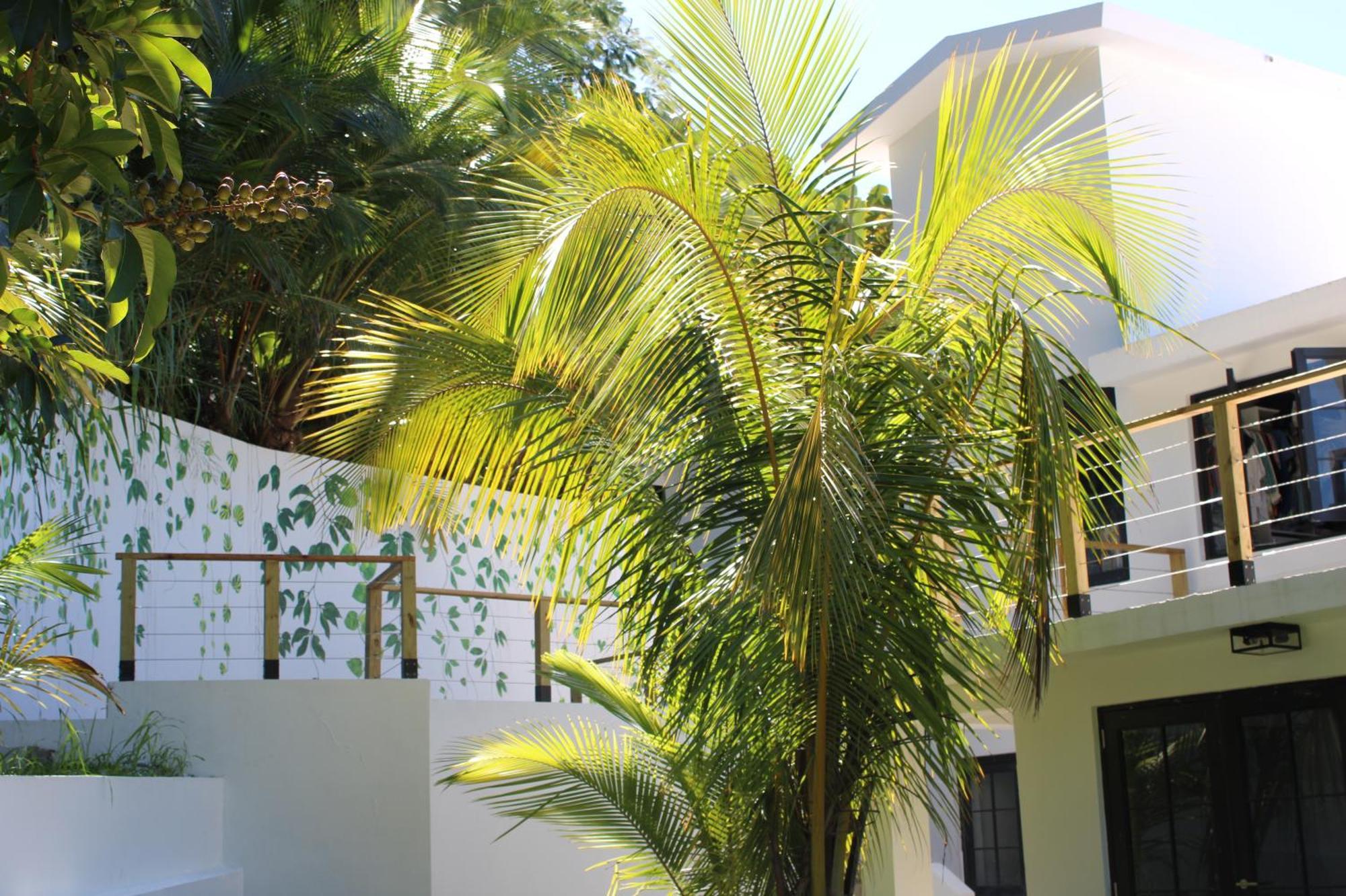 The Serene House Bed & Breakfast Luquillo Kültér fotó